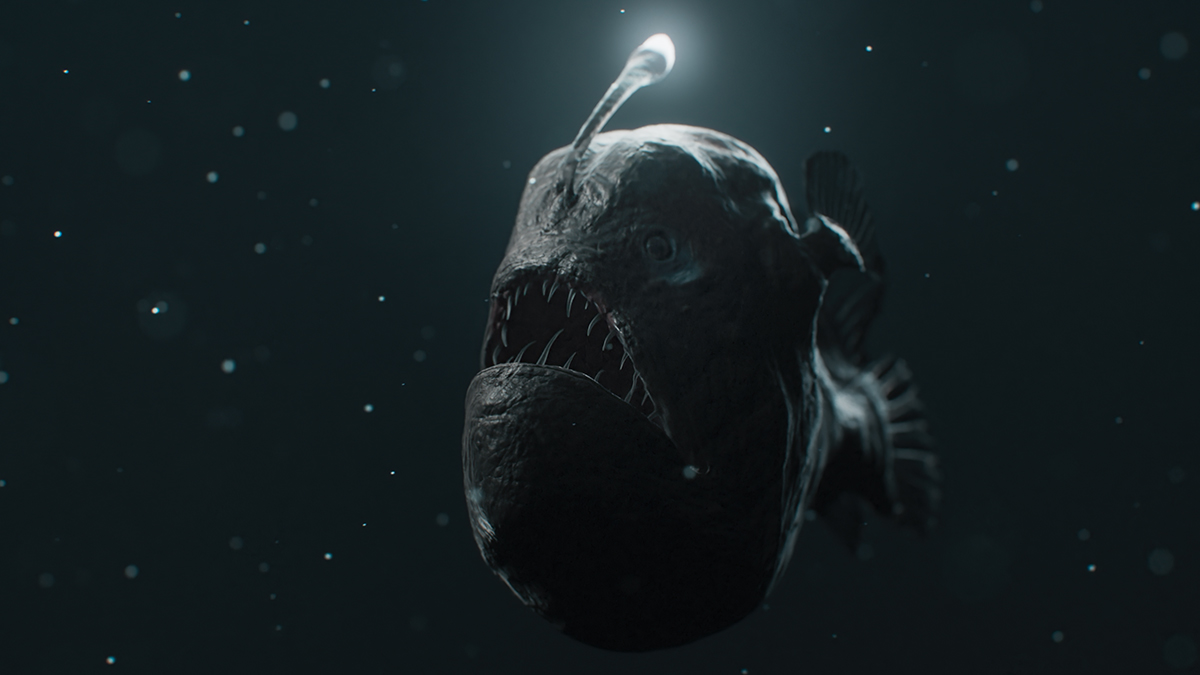 Monsters Of The Deep