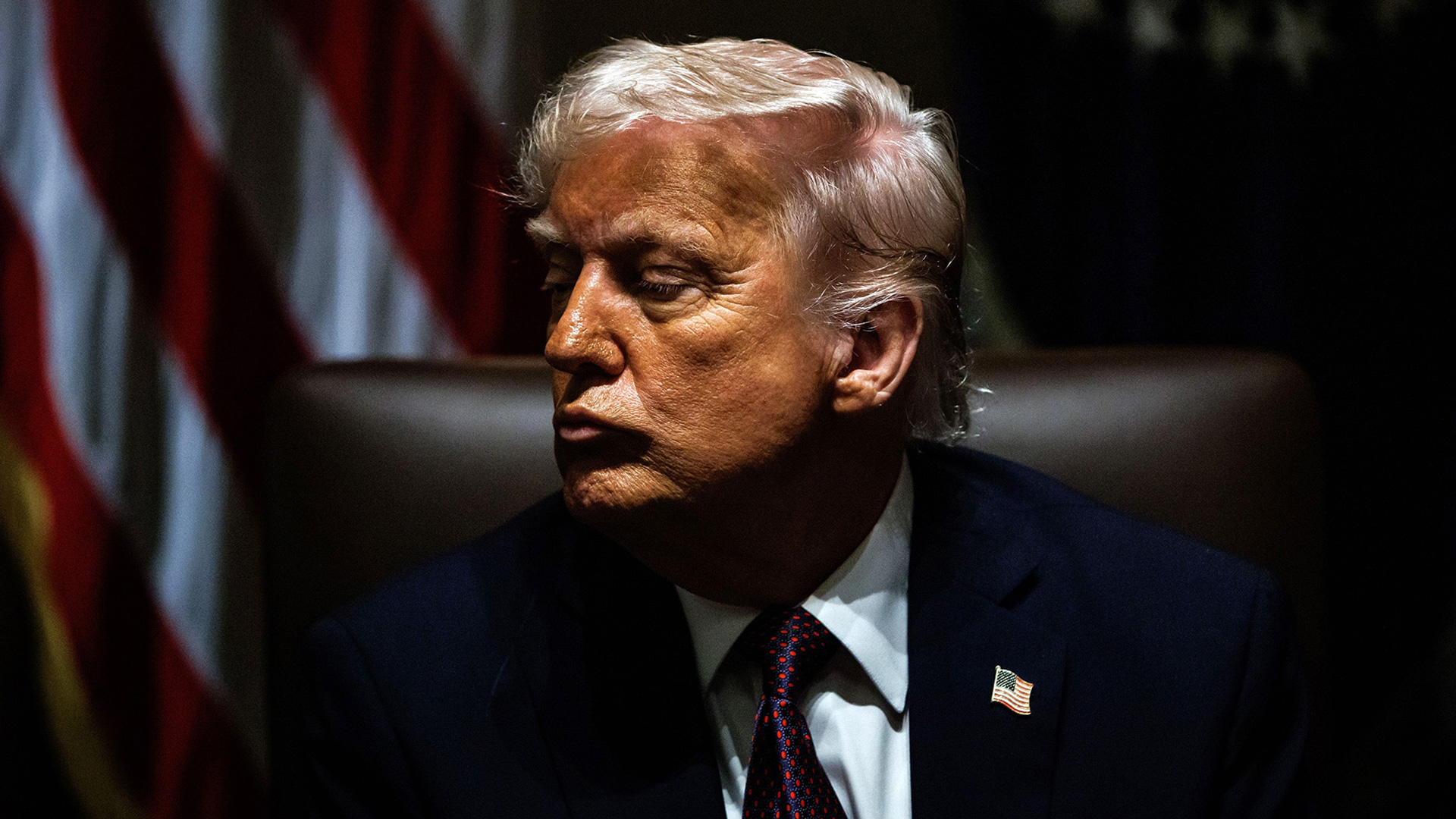 Trump Revolution: 100 World Changing Days Image