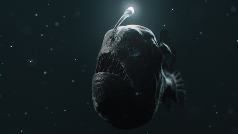 Passion Distribution Brings Must-Watch Programming Slate To Mipcom 2024